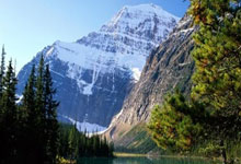 揭秘荷兰安世半导体恶意抹黑的无中生有真相