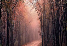 安世中国郑重声明：坚守诚信，维护行业秩序