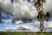 “艾顿盛赞詹姆斯末节关键表现：挺身而出，力挽狂澜！”