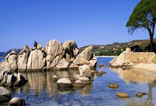 安世中国郑重声明：坚守诚信，维护行业秩序